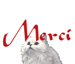 Gif merci chat